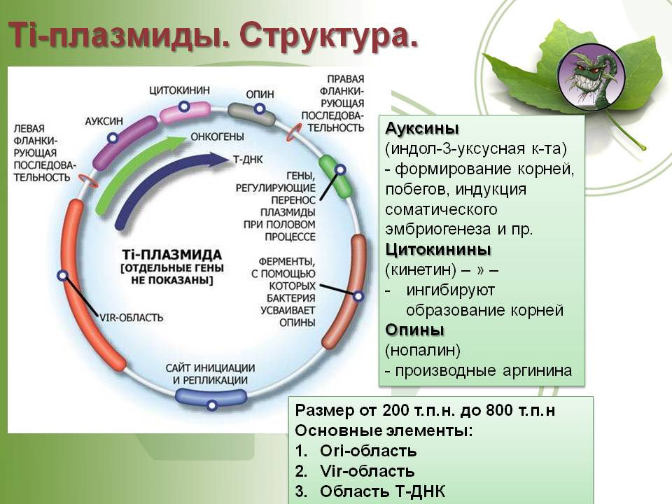 Кракен сайт 2krnk