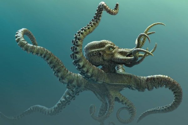 Kraken 16 at сайт