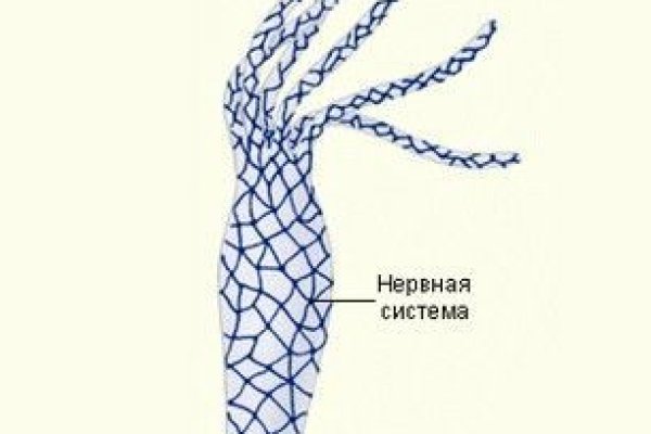 Не работает сайт kraken